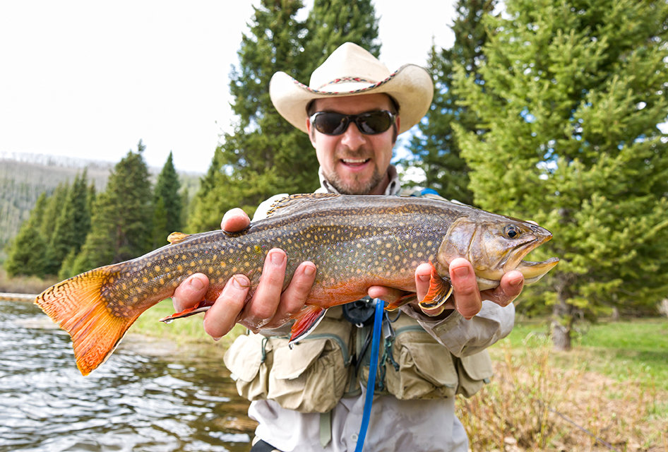 Brook Trout Caught in Ontario at Forrest Lodge