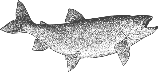 Ontario Lake Trout