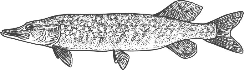 Ontario Northern Pike