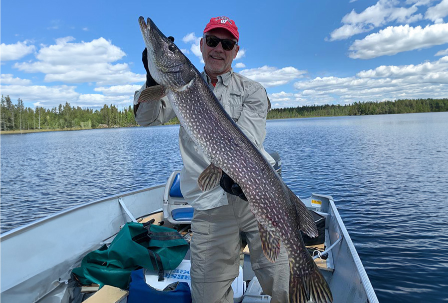 Northern Pike Caught in Caribou Lake Near Armstrong Station Ontario