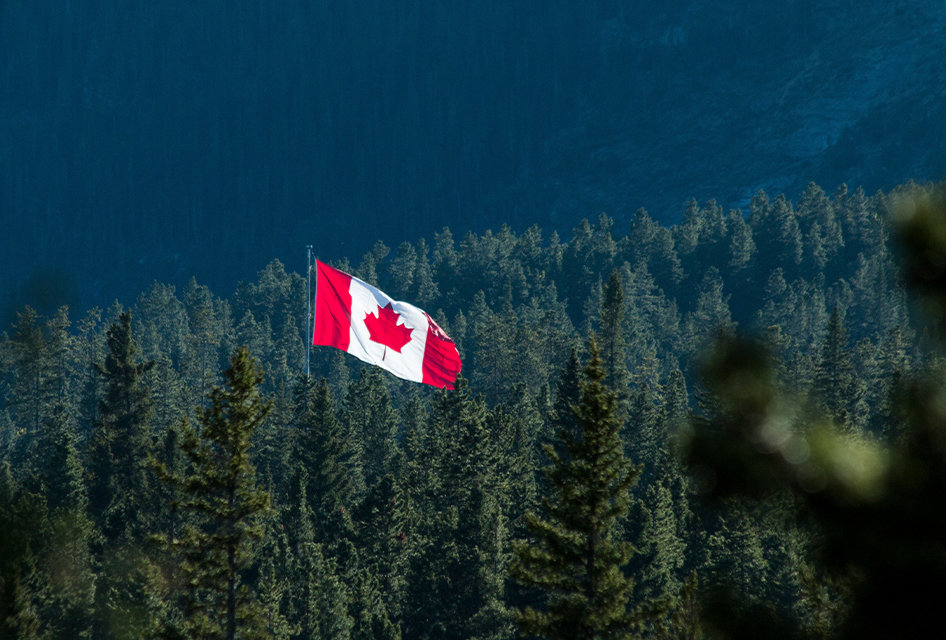 Travel to Canada is easy with the proper preparation for border crossing Ontario, Canada's Hunting & Fishing destination Forrest Lodge